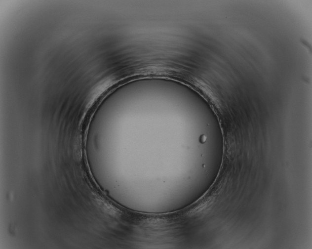 X0000092301075200710041443