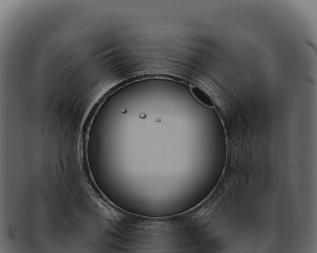 X0000092301076200710041443