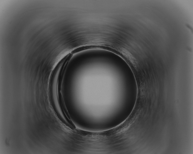 X0000092301077200710041443