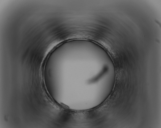 X0000092301078200710041443