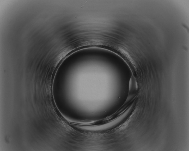 X0000092301081200710041443