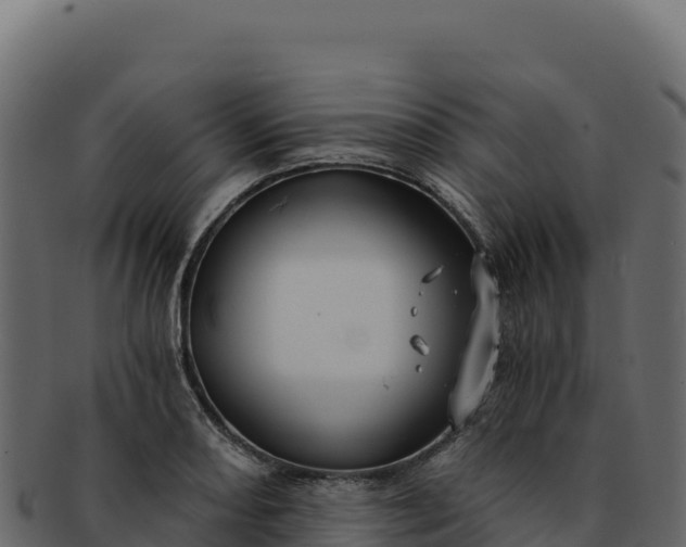 X0000092301082200710041443