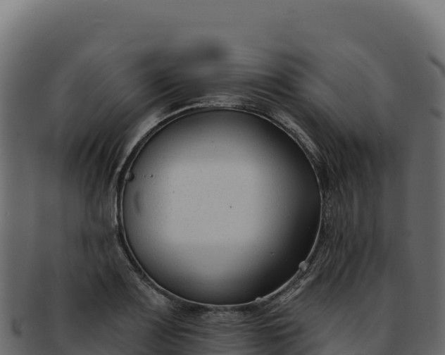 X0000092301083200710041443