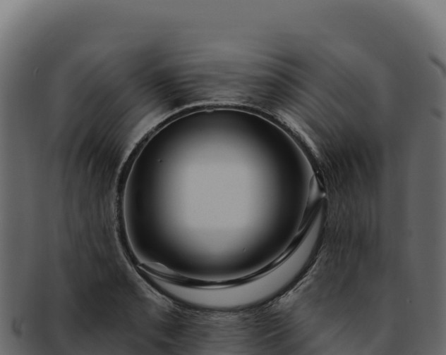 X0000092301085200710041443