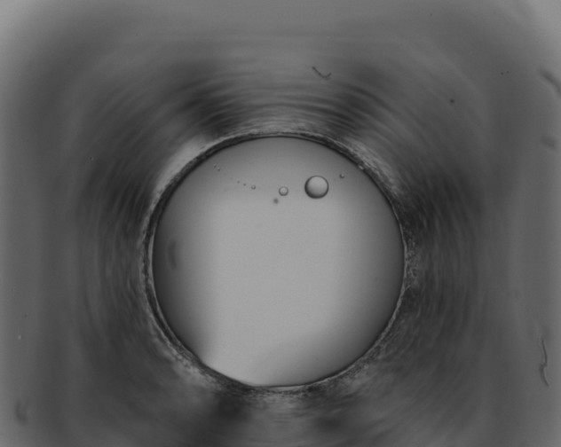 X0000092301086200710041443