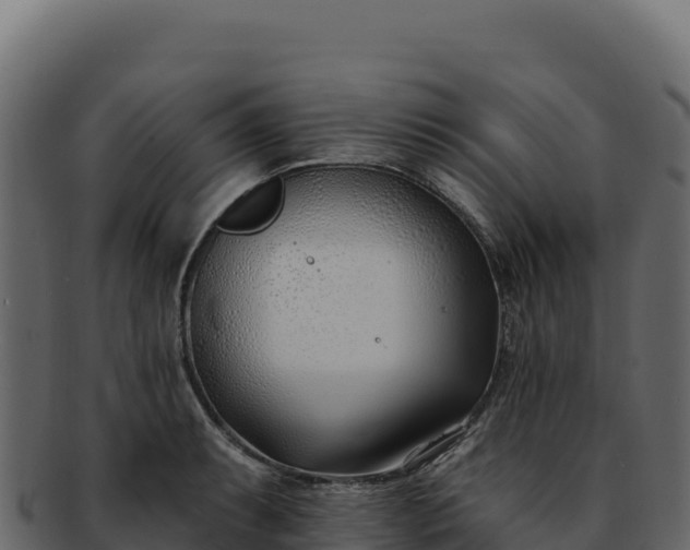 X0000092301087200710041443