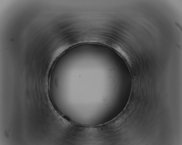 X0000092301088200710041443