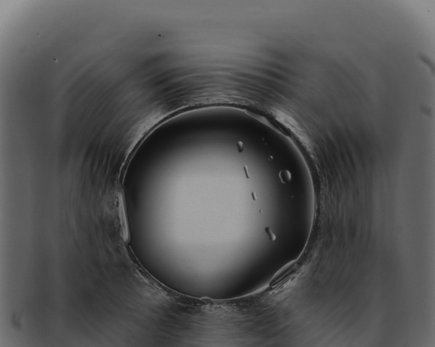 X0000092301089200710041443