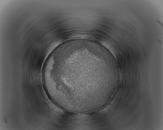 X0000092301090200710041443