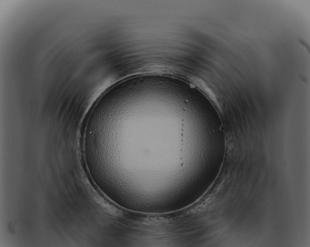 X0000092301091200710041443