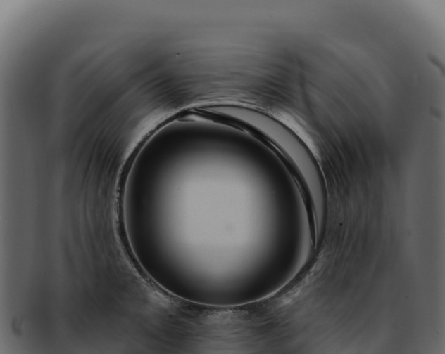 X0000092301093200710041443