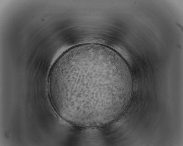 X0000092301094200710041443