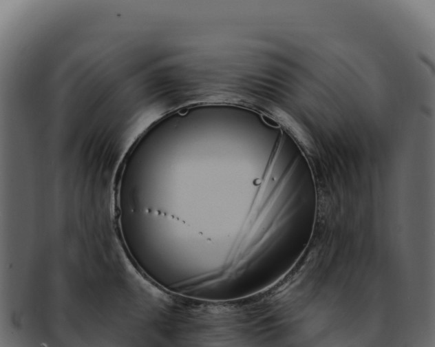 X0000092301095200710041443