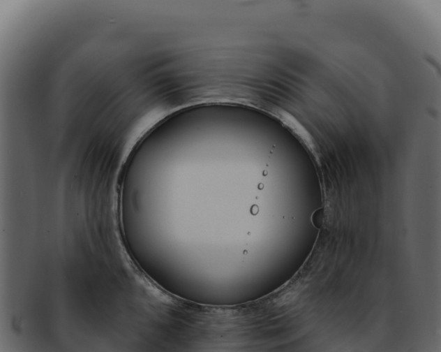 X0000092301096200710041443