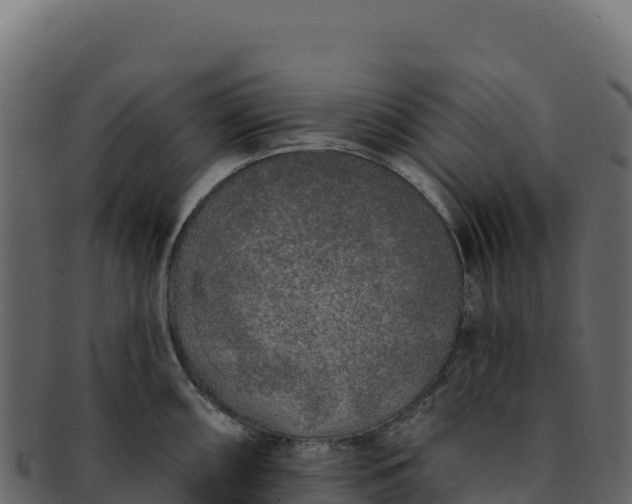 X0000092301098200710041443