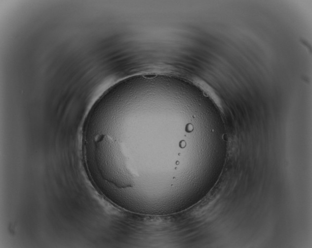 X0000092301099200710041443