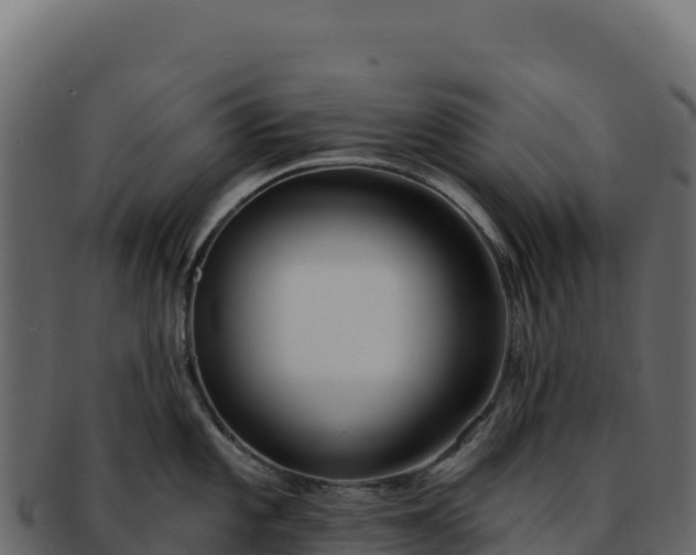 X0000092301101200710041443