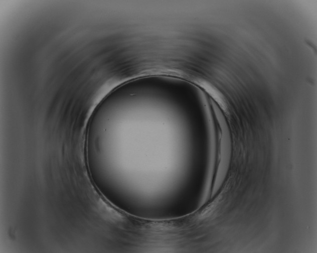 X0000092301102200710041443