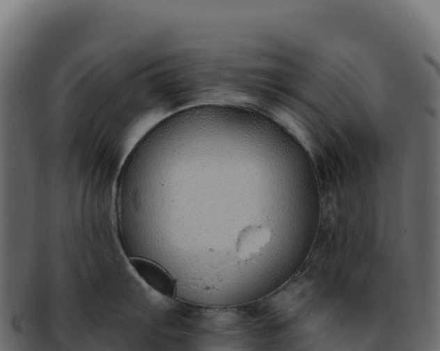 X0000092301103200710041443