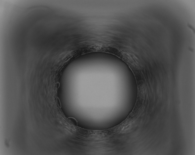 X0000092301105200710041442