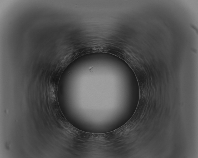 X0000092301106200710041442