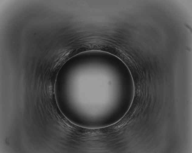 X0000092301108200710041442