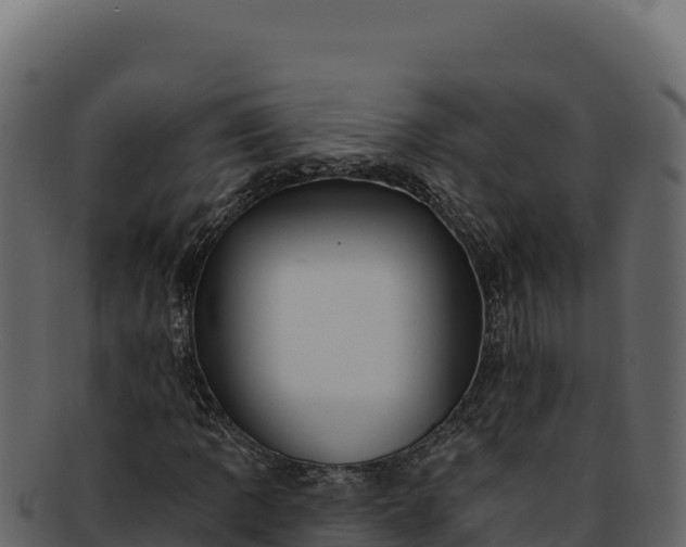 X0000092301109200710041442