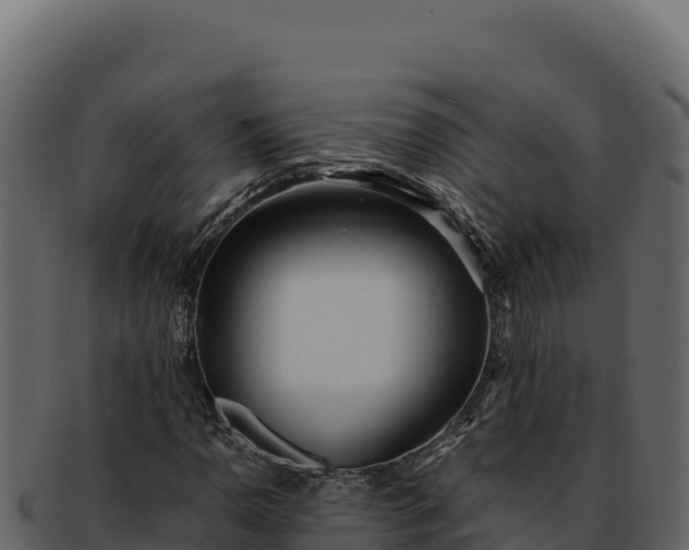 X0000092301110200710041442