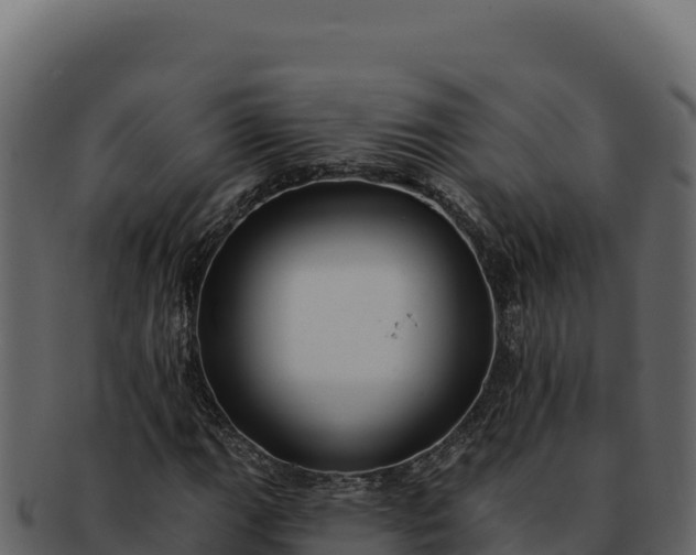 X0000092301111200710041442