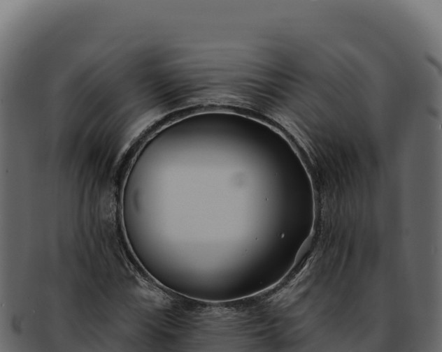 X0000092301115200710041442