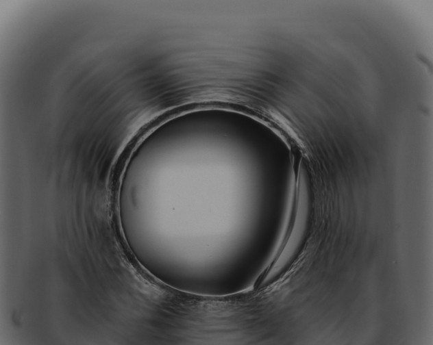 X0000092301116200710041442