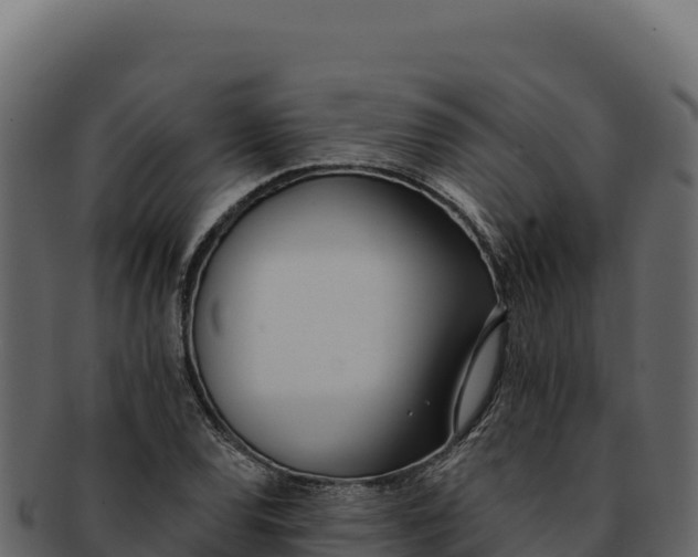 X0000092301120200710041442