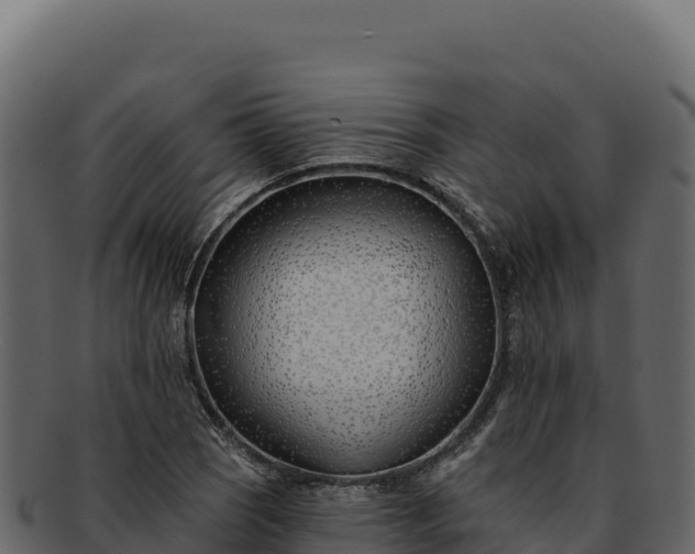 X0000092301121200710041442