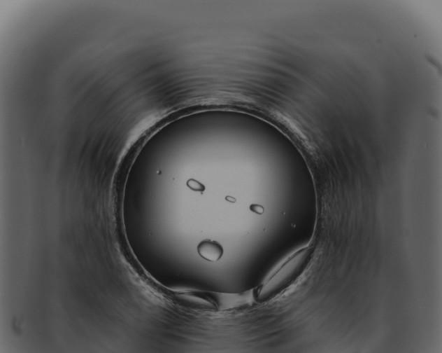 X0000092301122200710041442