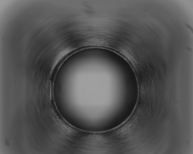 X0000092301123200710041442