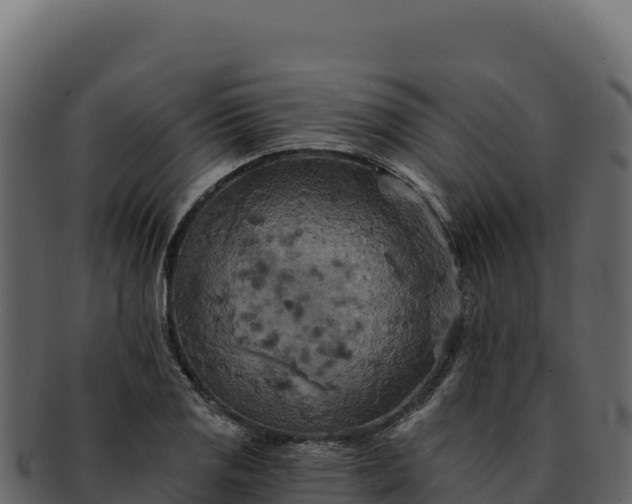 X0000092301125200710041442