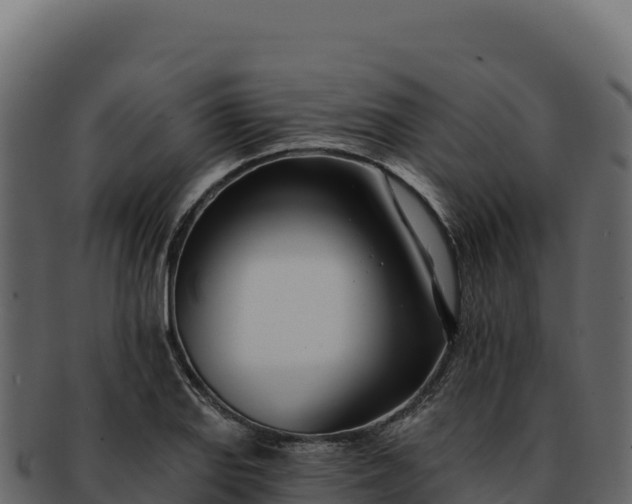 X0000092301127200710041442