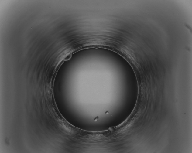 X0000092301129200710041442