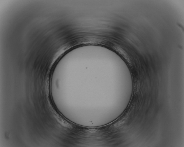 X0000092301130200710041442