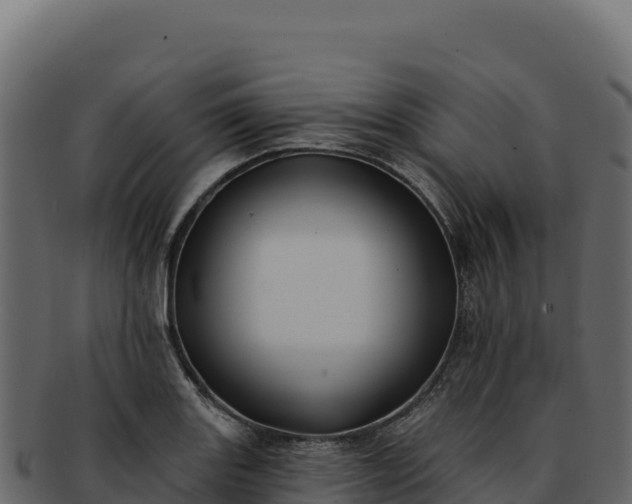 X0000092301131200710041442