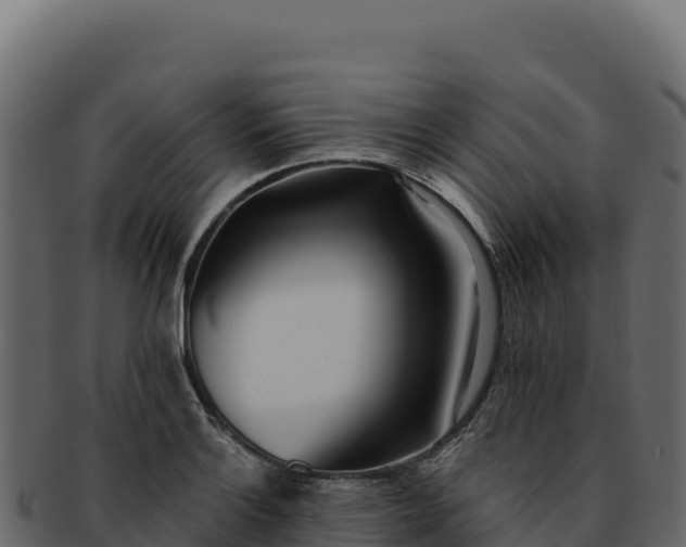 X0000092301132200710041442