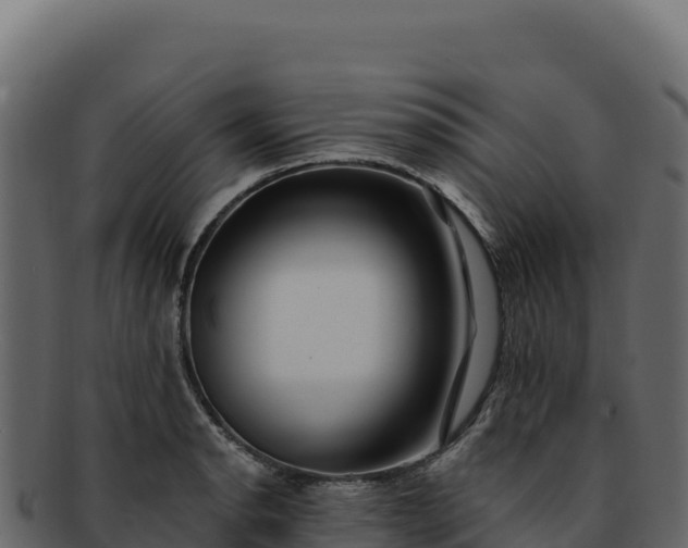 X0000092301134200710041442