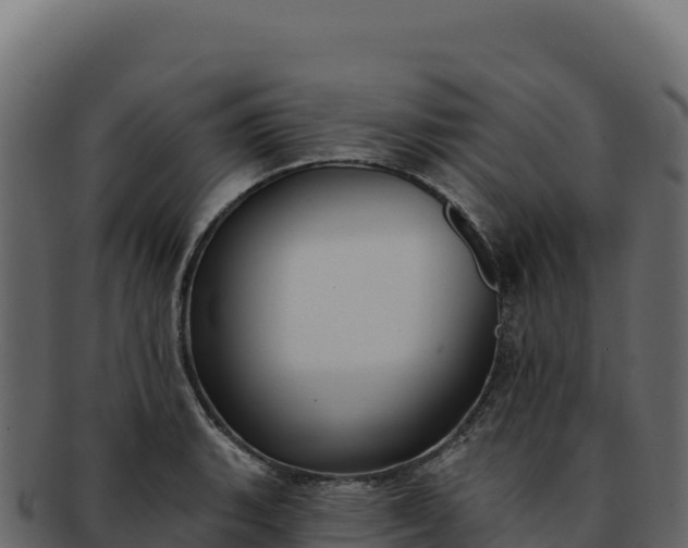 X0000092301135200710041442