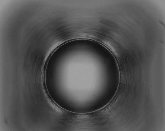 X0000092301136200710041442