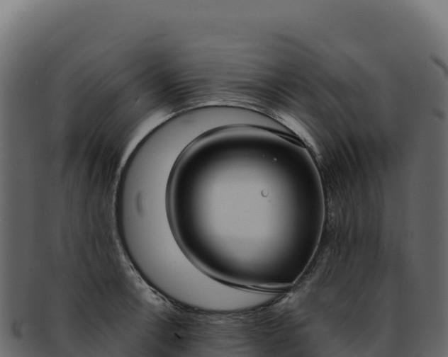 X0000092301138200710041442