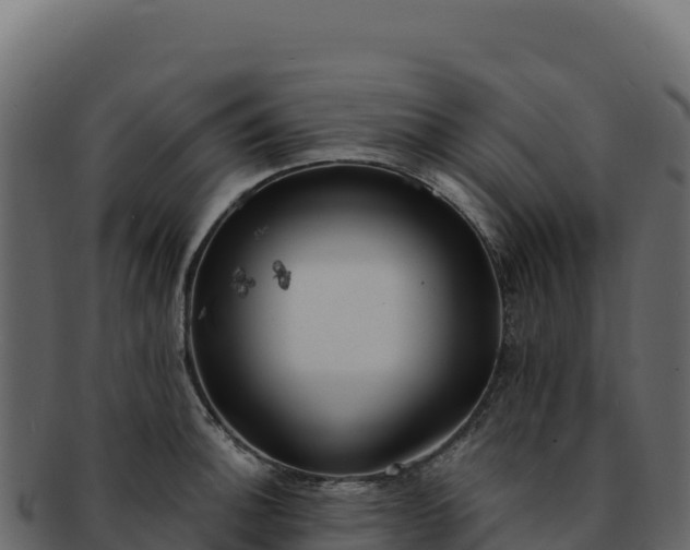 X0000092301140200710041443