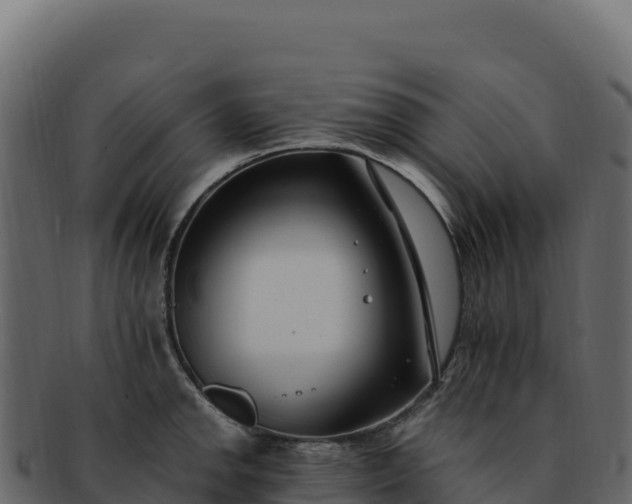 X0000092301142200710041443