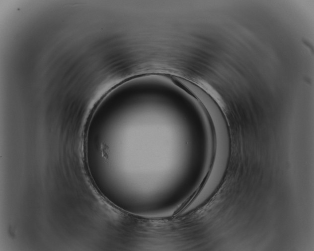 X0000092301144200710041443