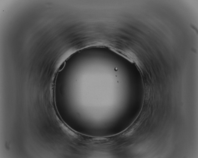 X0000092301151200710041443