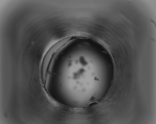 X0000092301152200710041443